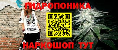 сатива Заводоуковск