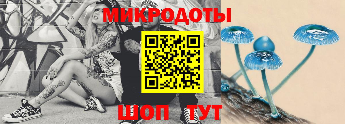 купить  цена  Псилоцибиновые грибы мухоморы  Галлюциногенные грибы мицелий  Вход с VPN  Кулебаки 
